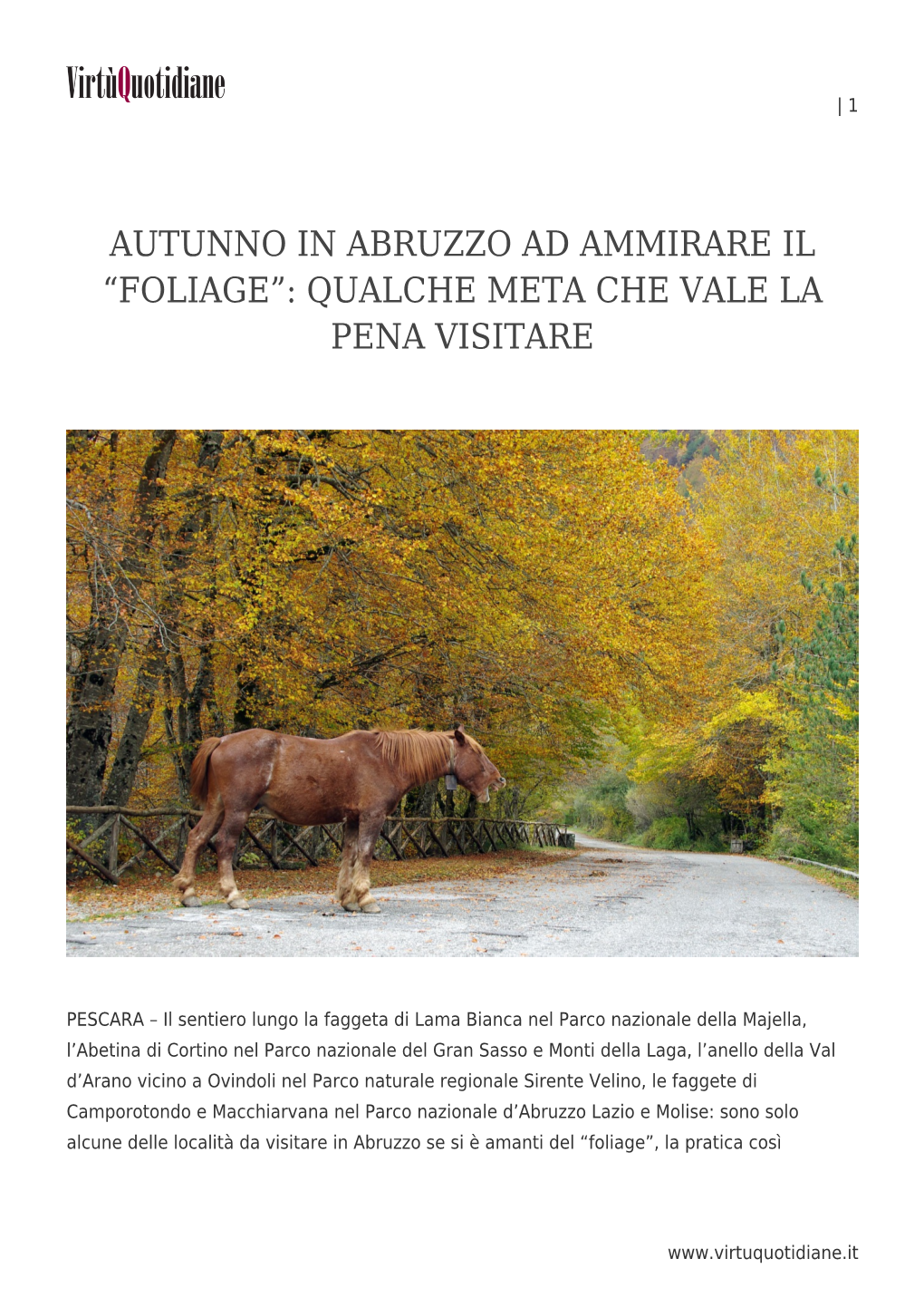 Autunno in Abruzzo Ad Ammirare Il &#8220;Foliage&