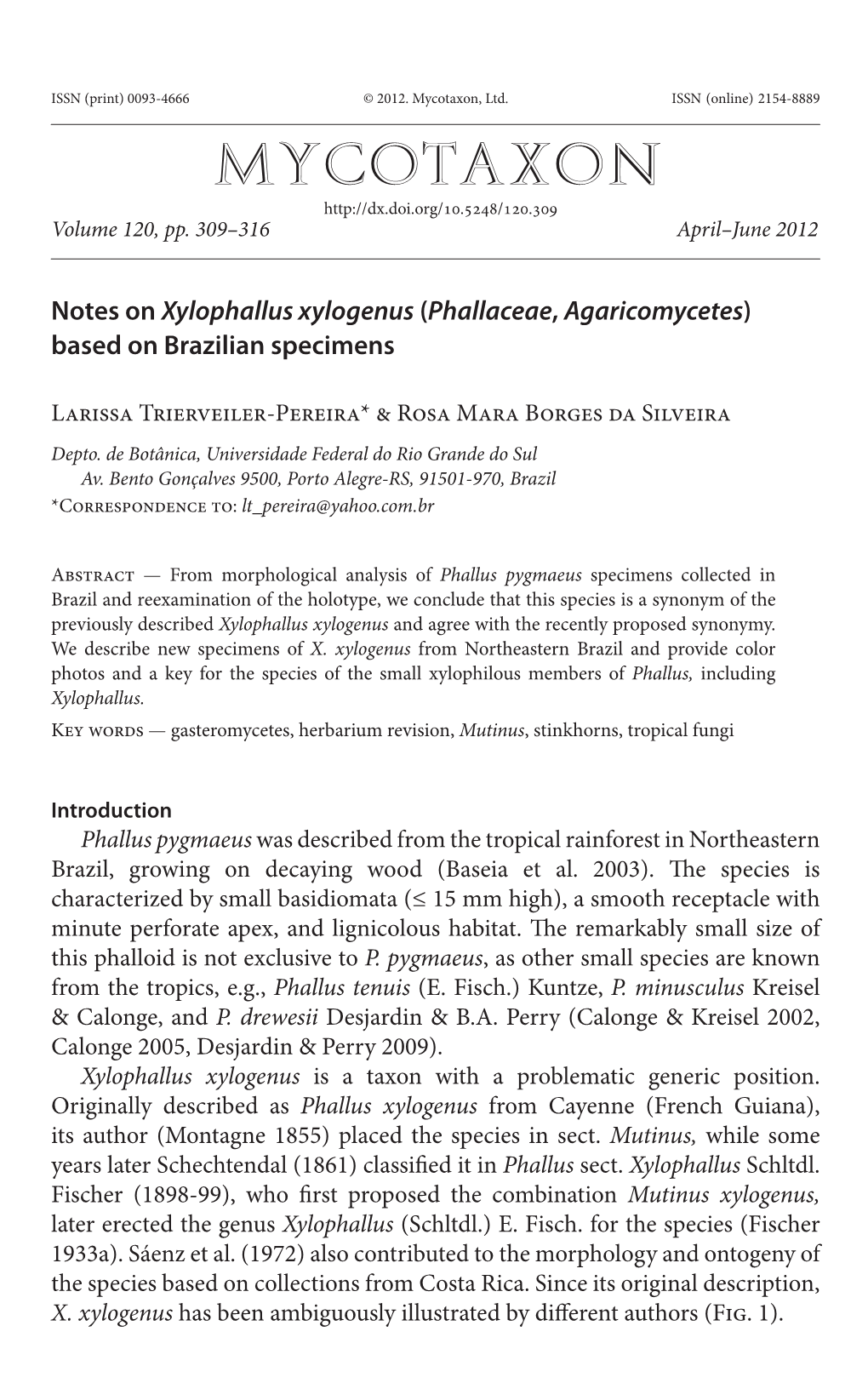 Xylophallus Xylogenus&lt;/I&gt; (&lt;I&gt;Phallaceae