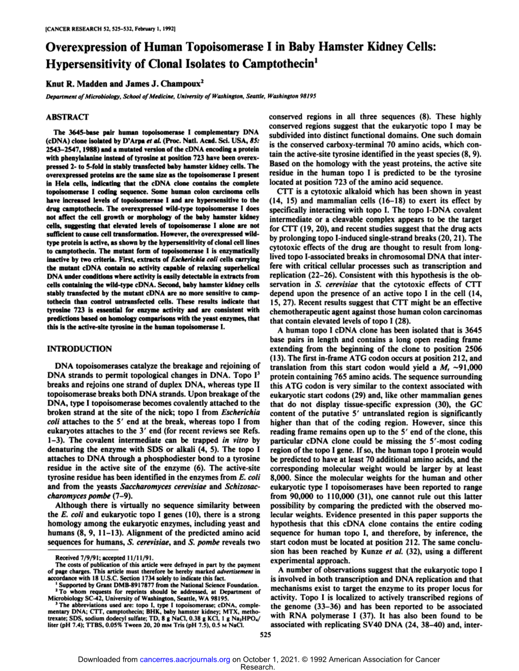 Overexpression of Human Topoisomerase I in Baby Hamster Kidney Cells: Hypersensitivity of Clonal Isolates to Camptothecin1