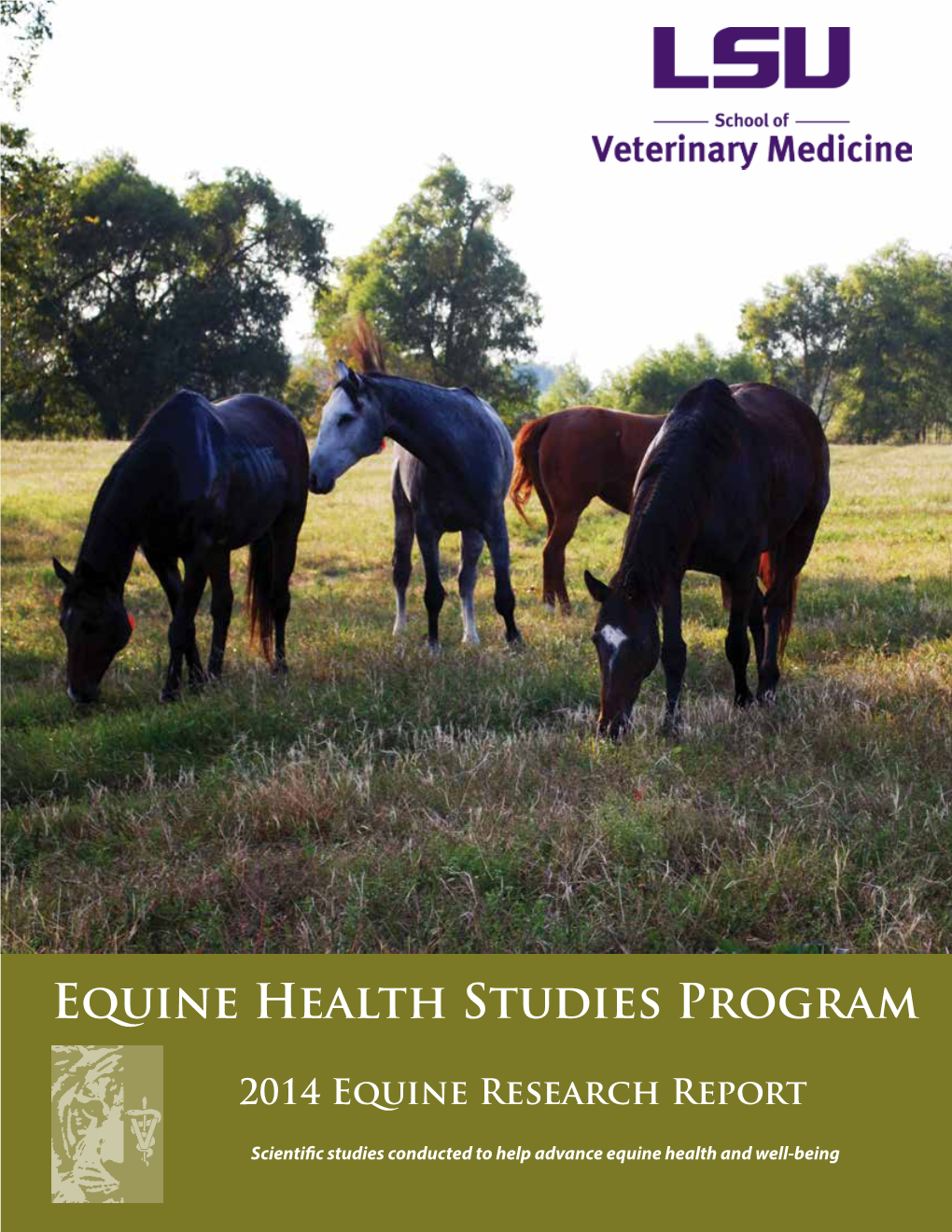 Equine Health Studies Program