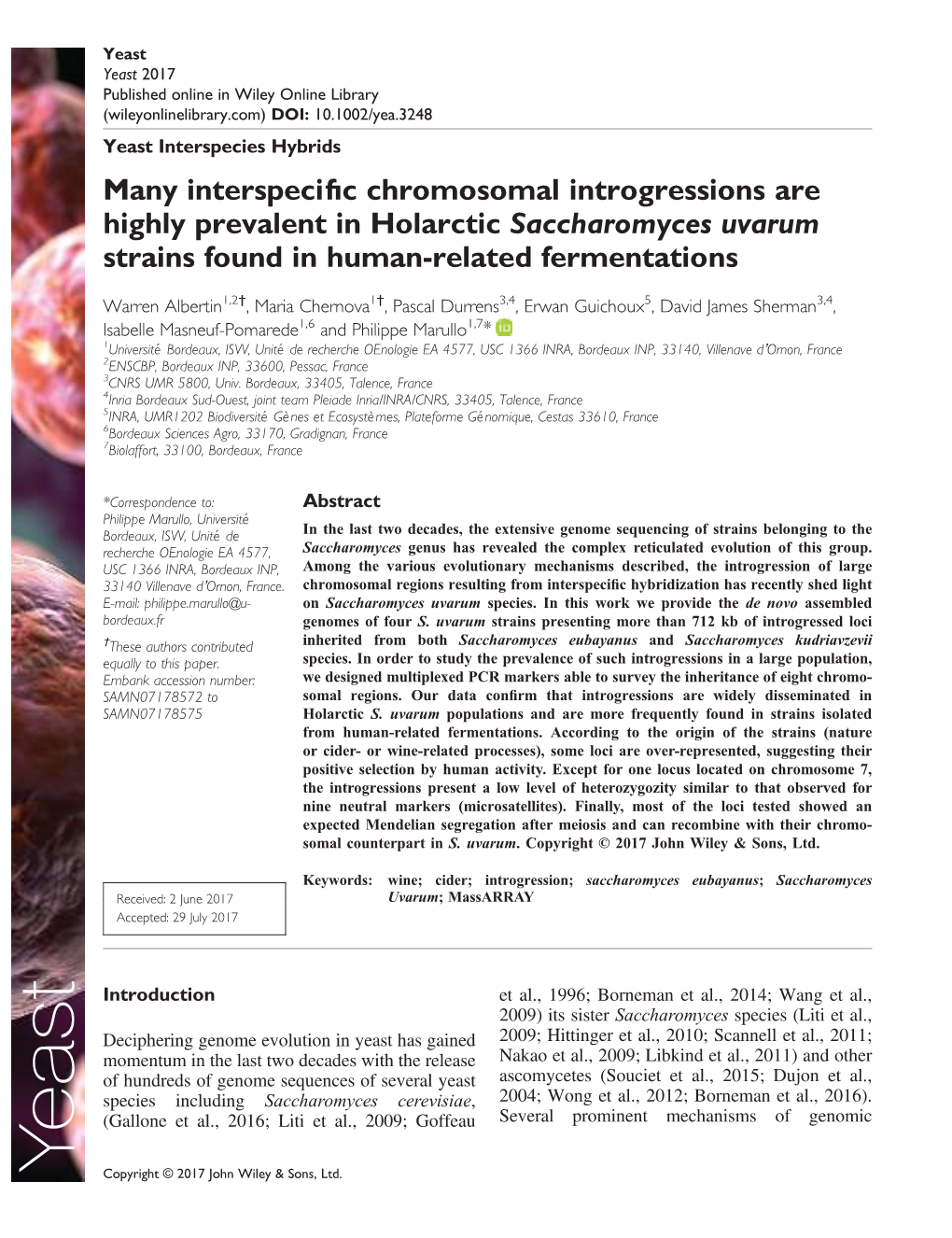 Many Interspecific Chromosomal Introgressions Are Highly Prevalent
