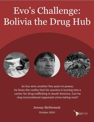 Bolivia: the New Hub for Drug Trafficking in South America