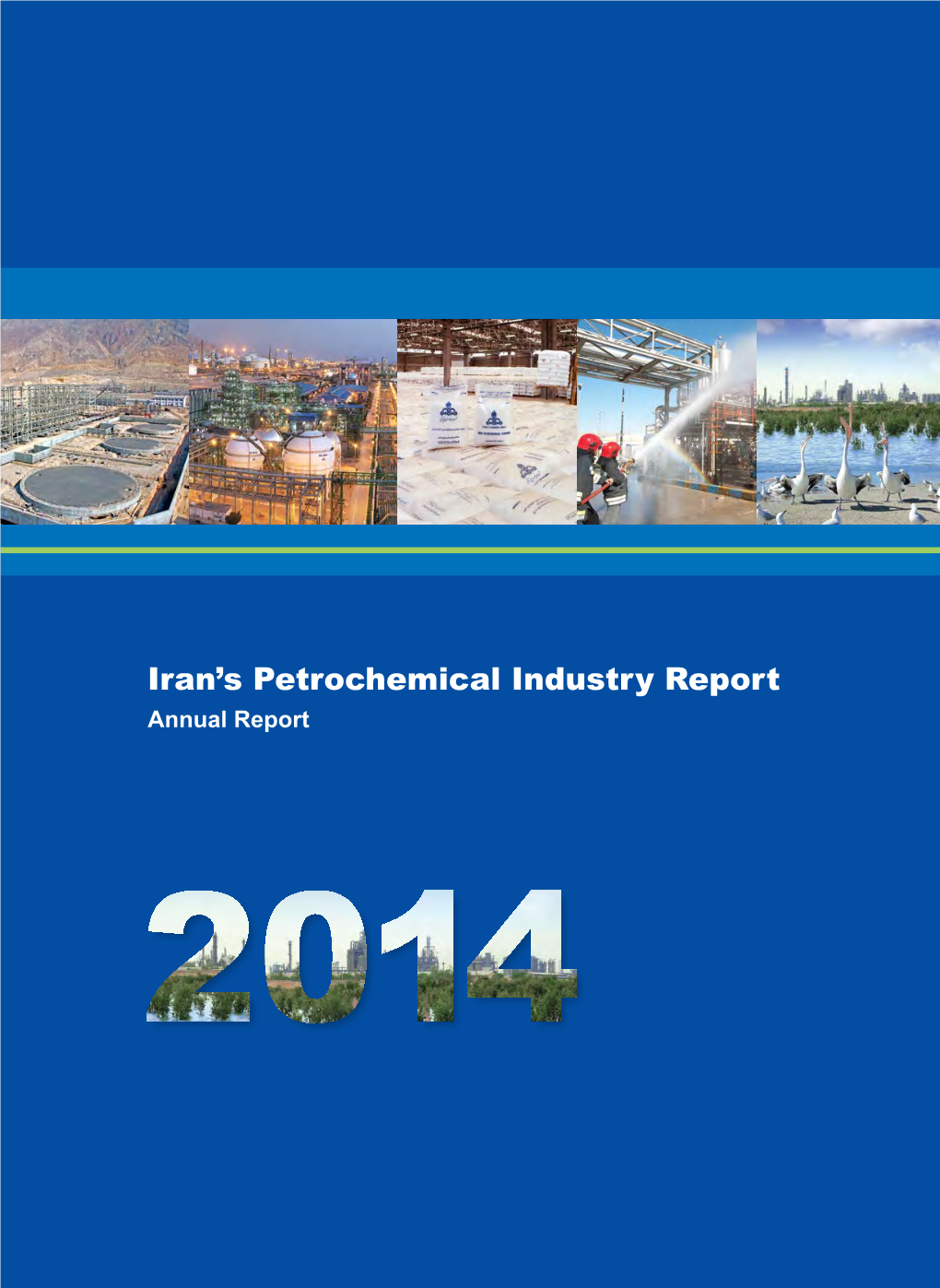 Iran's Petrochemical Industry Report