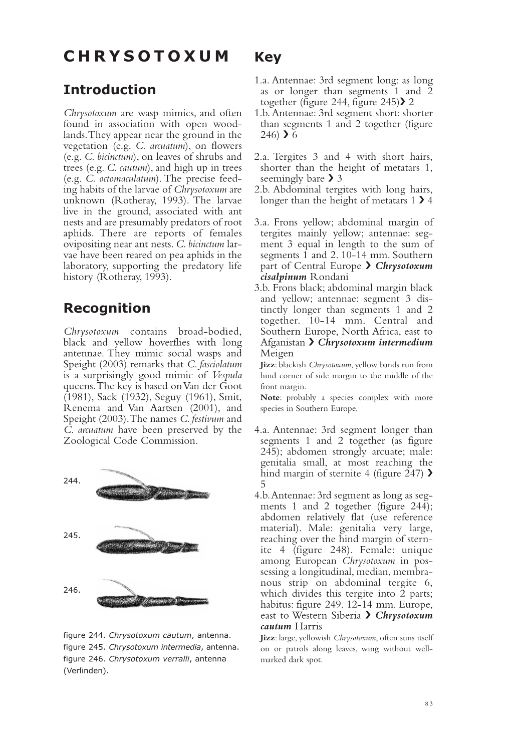 CHRYSOTOXUM Key 1.A