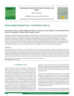 Forecasting Natural Gas: a Literature Survey