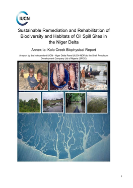 Sustainable Remediation and Rehabilitation of Biodiversity and Habitats of Oil Spill Sites In