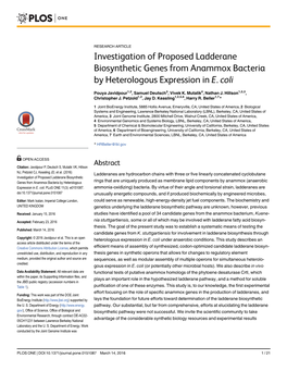 Investigation of Proposed Ladderane Biosynthetic Genes from Anammox Bacteria by Heterologous Expression in E