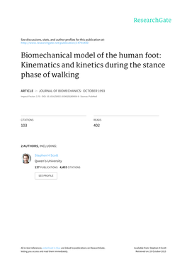 Biomechanical Model of the Human Foot: Kinematics and Kinetics During the Stance Phase of Walking