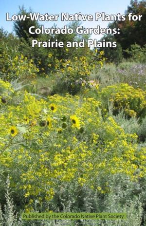 Low-Water Native Plants for Colorado Gardens: Prairie and Plains