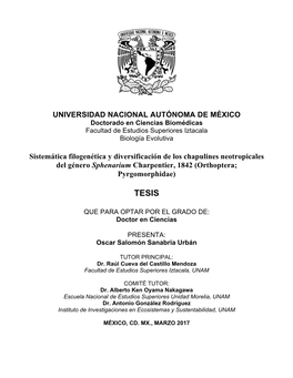 TESIS: Sistemática Filogenética Y Diversificación De Los Chapulines