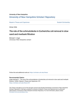 The Role of the Schmutzdecke in Escherichia Coli Removal in Slow Sand and Riverbank Filtration