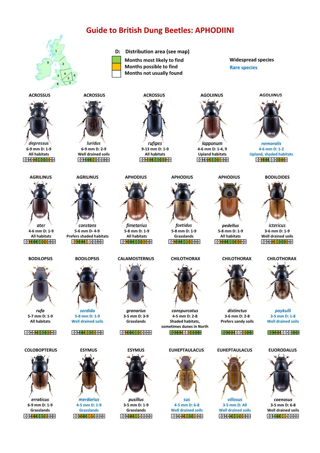Guide to British Dung Beetles: APHODIINI