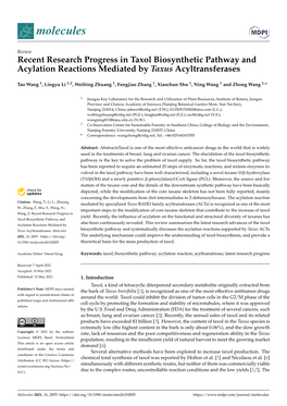 Recent Research Progress in Taxol Biosynthetic Pathway and Acylation Reactions Mediated by Taxus Acyltransferases