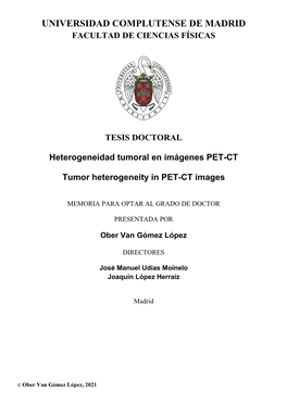 Tumor Heterogeneity in PET-CT Images