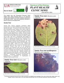 Plant Health Clinic News, Issue 18, 2013