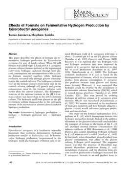Effects of Formate on Fermentative Hydrogen Production by Enterobacter Aerogenes