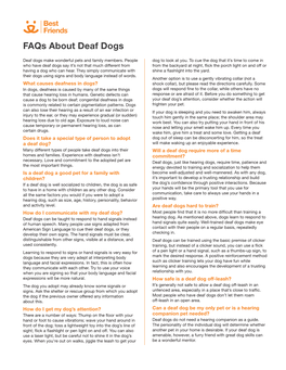 Faqs About Deaf Dogs