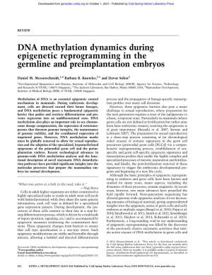DNA Methylation Dynamics During Epigenetic Reprogramming in the Germline and Preimplantation Embryos