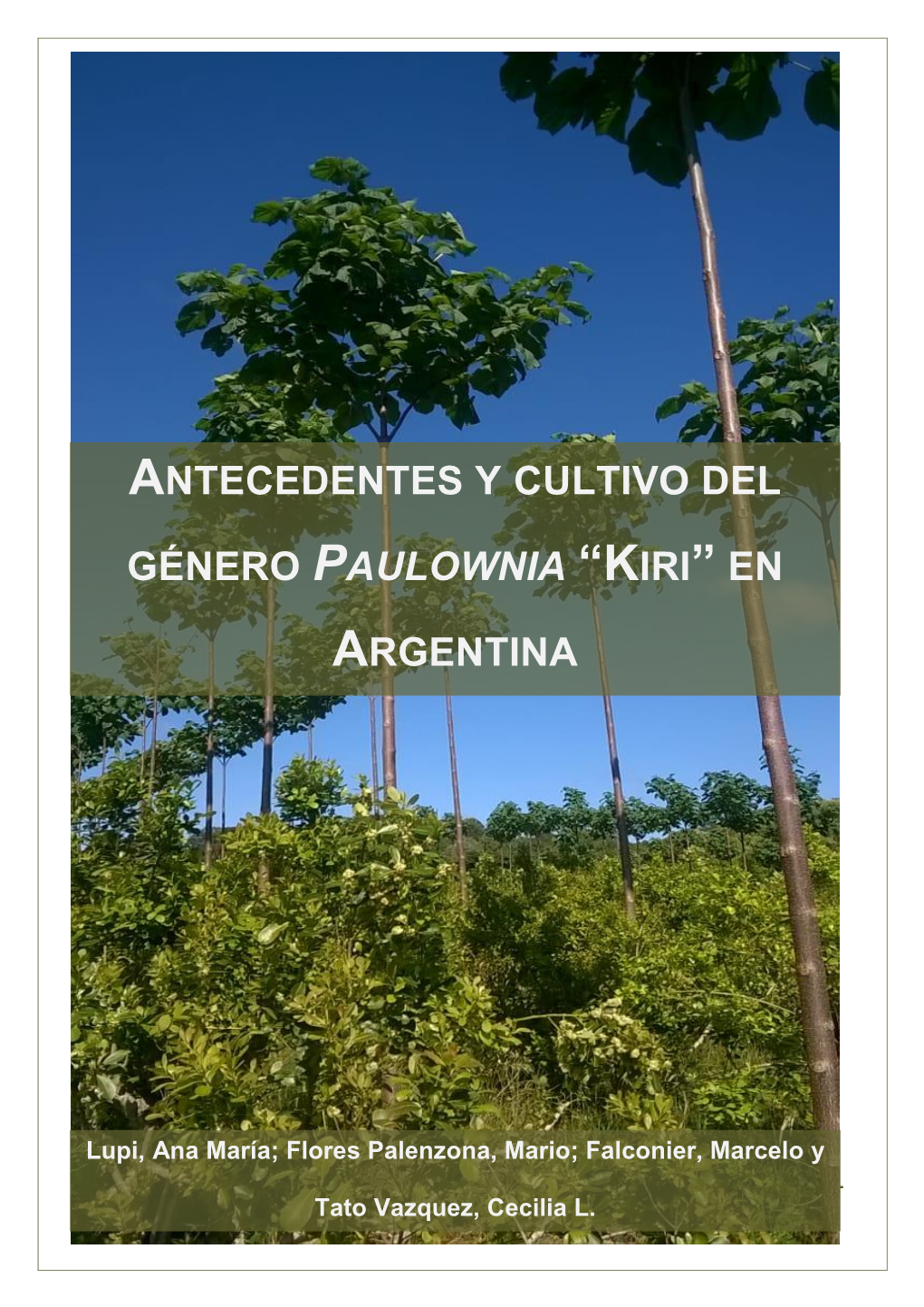 Antecedentes Y Cultivo Del Género Paulownia “Kiri”