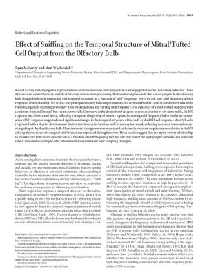Effect of Sniffing on the Temporal Structure of Mitral/Tufted Cell Output from the Olfactory Bulb