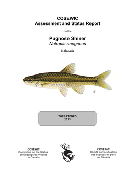 Pugnose Shiner,Notropis Anogenus