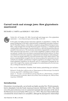 Carved Teeth and Strange Jaws: How Glyptodonts Masticated