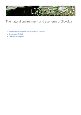 The Natural Environment and Economy of Slovakia