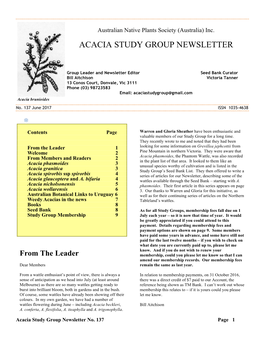 Acacia Wollarensis 6 3
