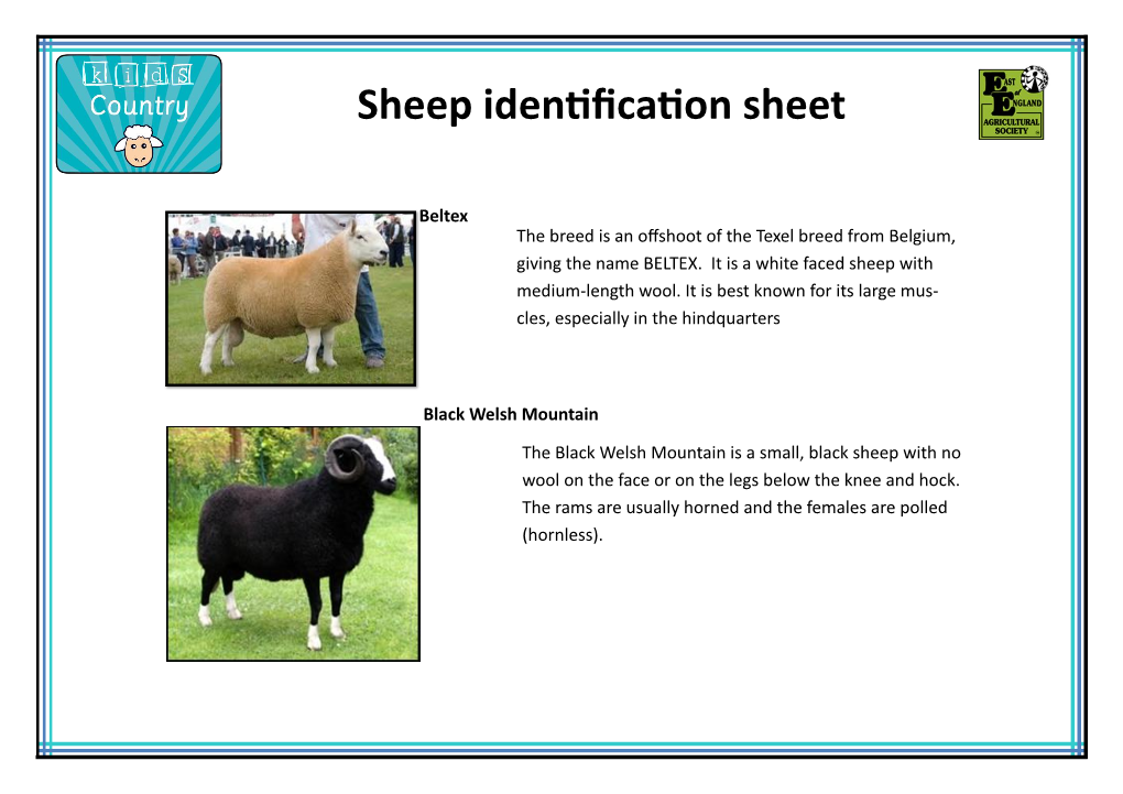Sheep Identification Sheet