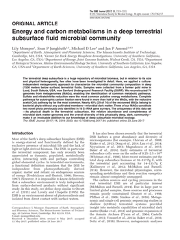 Energy and Carbon Metabolisms in a Deep Terrestrial Subsurface Fluid Microbial Community
