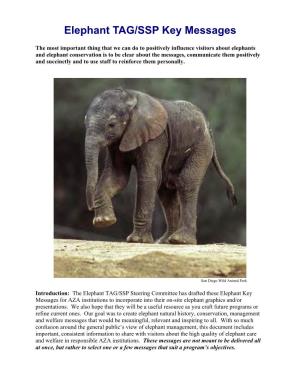 Elephant TAG/SSP Key Messages