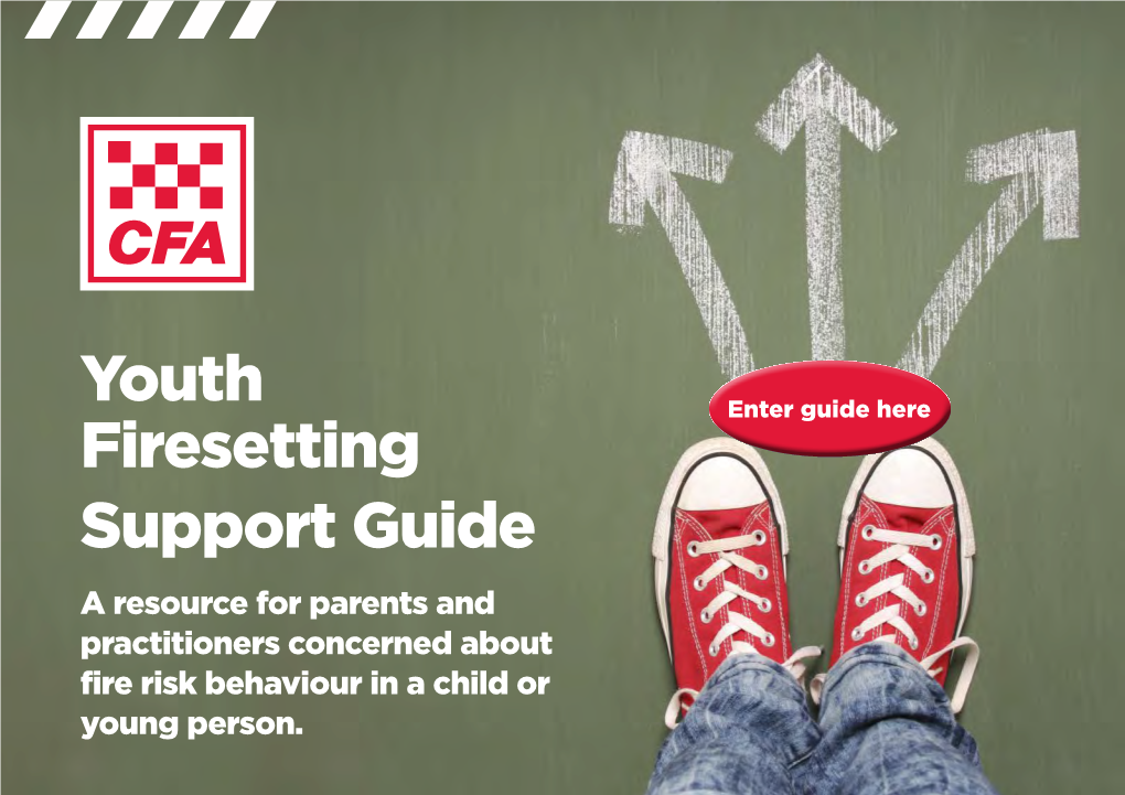 Youth Firesetting Support Guide a Resource for Parents and Practitioners Concerned About Fire Risk Behaviour in a Child Or Young Person