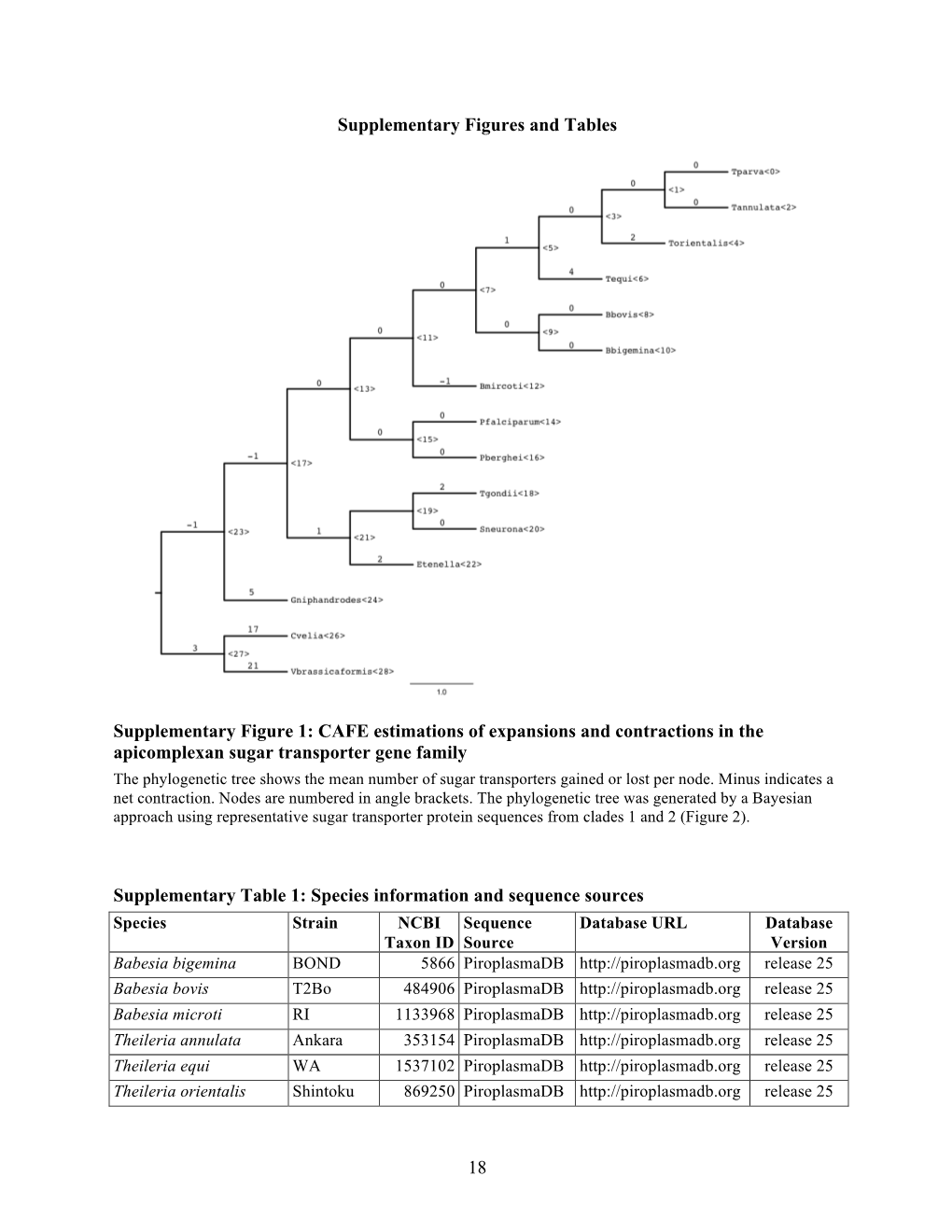 CAFE Estimations of Expansions and Contractions in the Apicomplexan