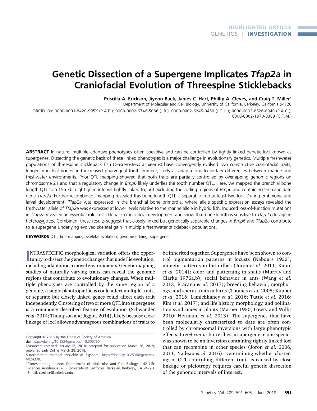 Genetic Dissection of a Supergene Implicates Tfap2a in Craniofacial Evolution of Threespine Sticklebacks