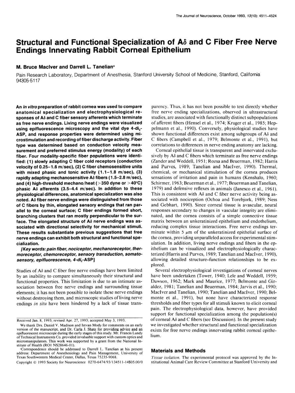 Structural and Functional Specialization of A6 and C Fiber Free Nerve Endings Innervating Rabbit Cornea1 Epithelium