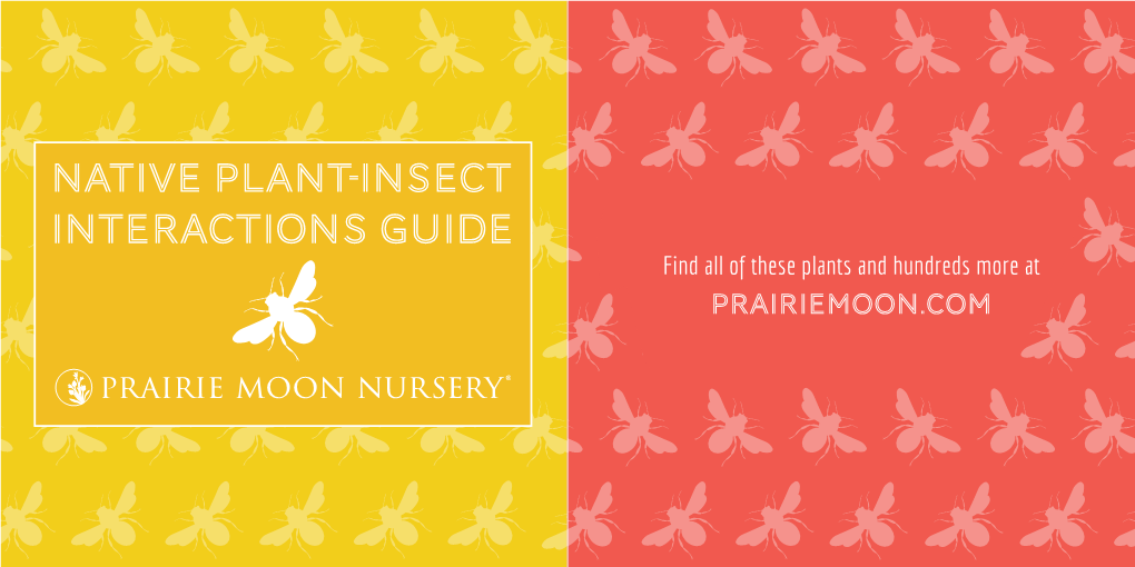 Native Plant-Insect Interactions Guide