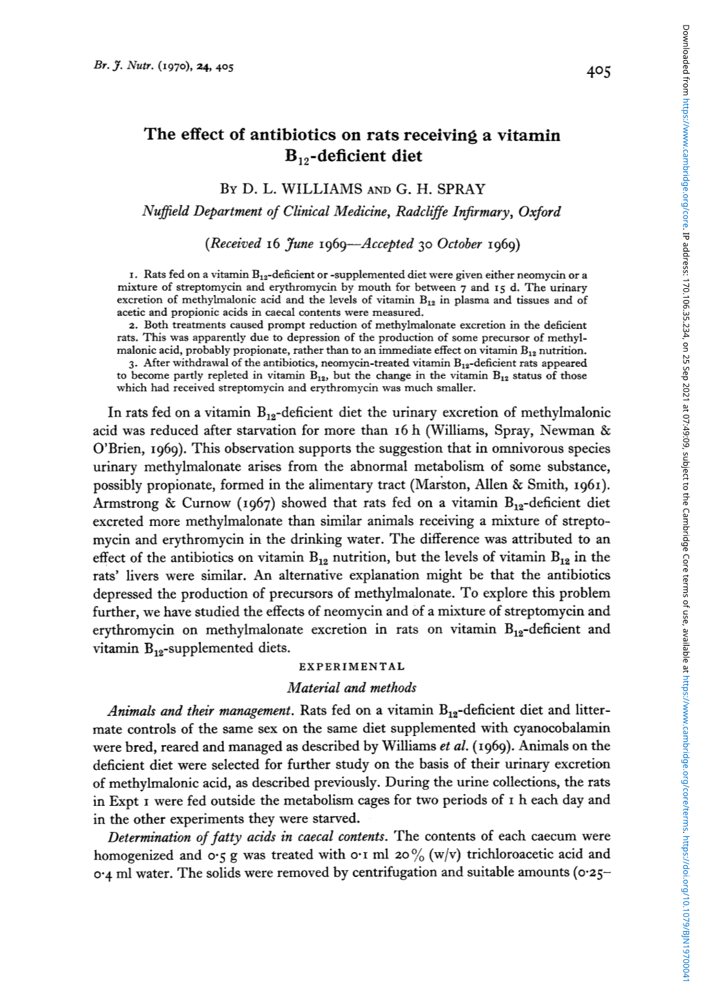 The Effect of Antibiotics on Rats Receiving a Vitamin B12-Deficient Diet