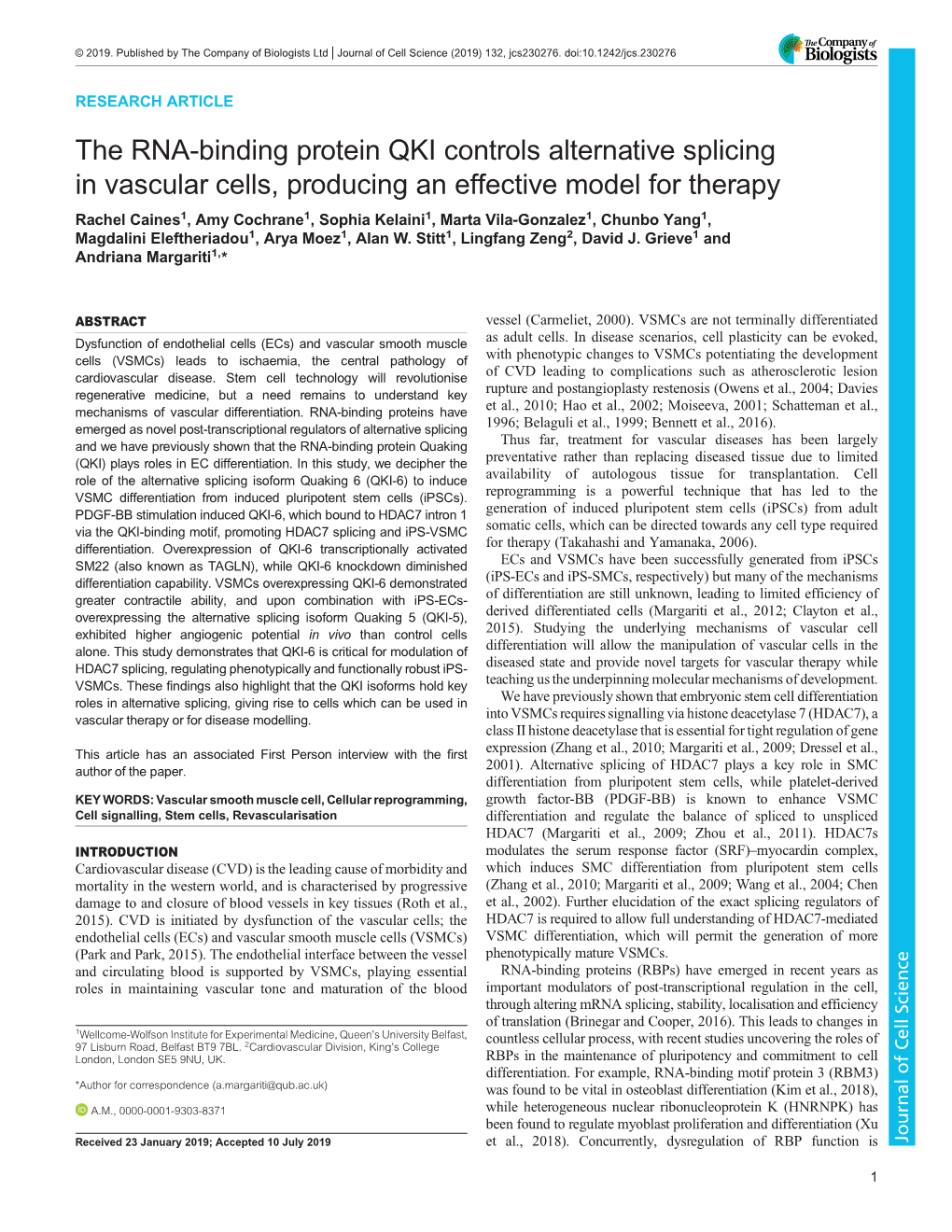 The RNA-Binding Protein QKI Controls Alternative Splicing in Vascular Cells