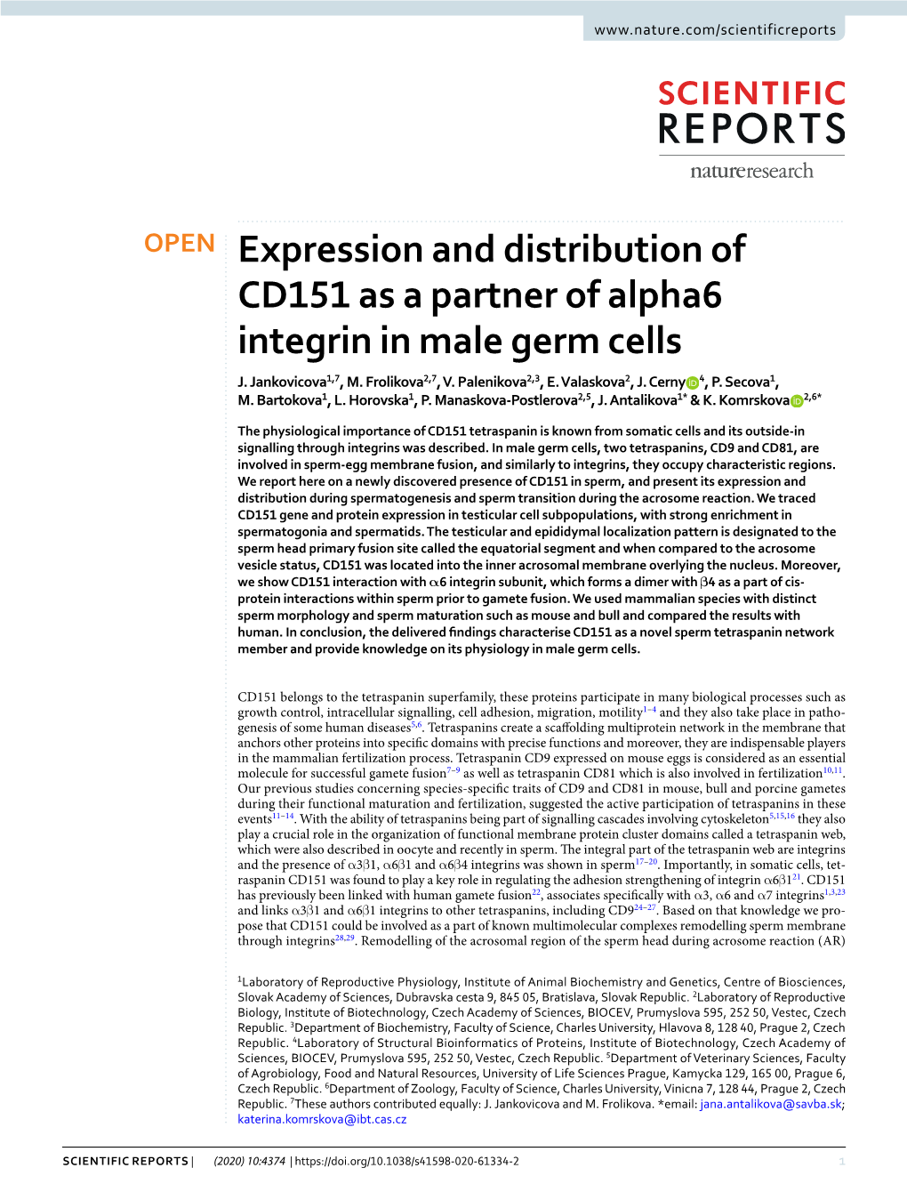 Expression and Distribution of CD151 As a Partner of Alpha6 Integrin in Male Germ Cells J