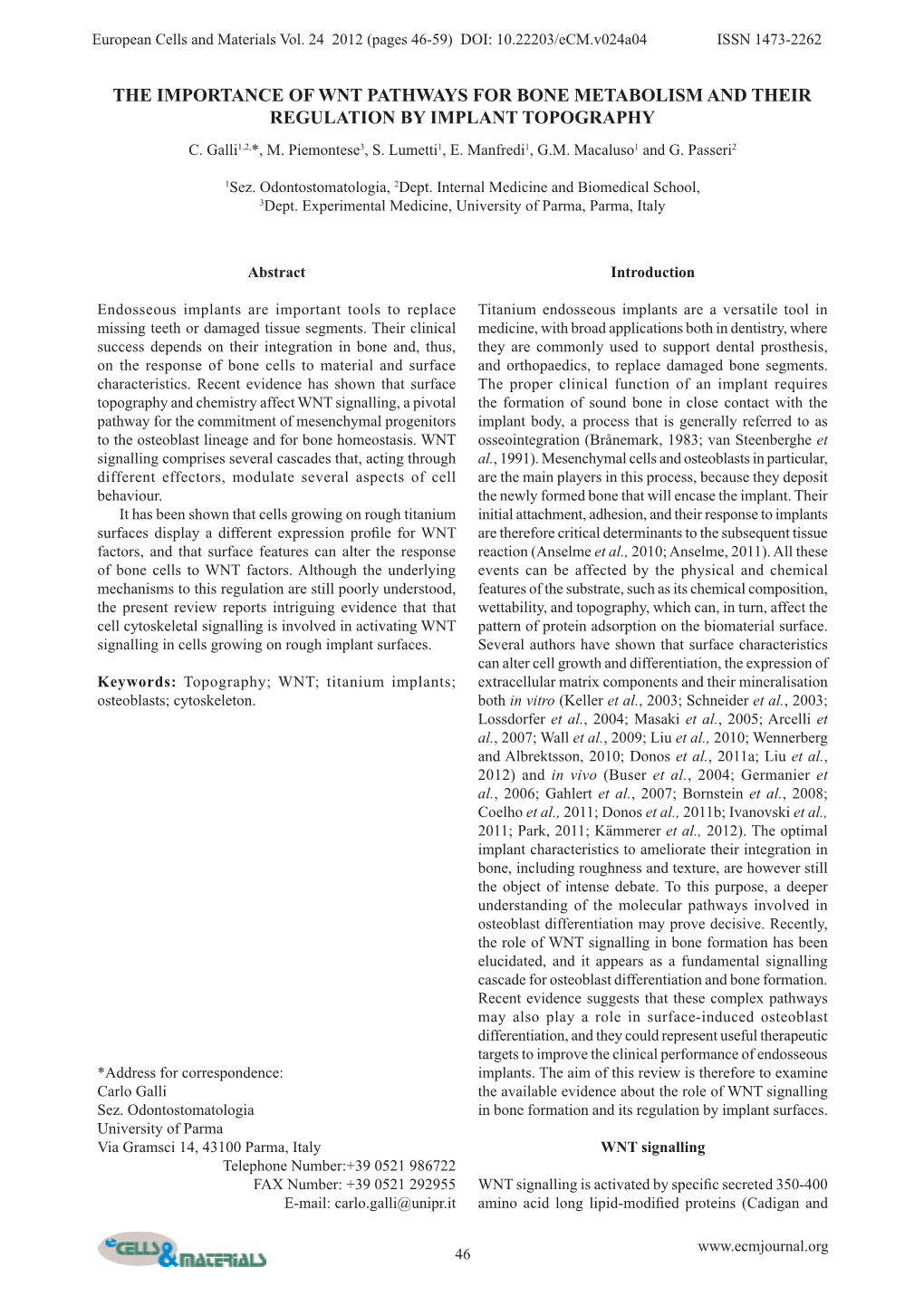 The Importance of Wnt Pathways for Bone Metabolism and Their Regulation by Implant Topography C