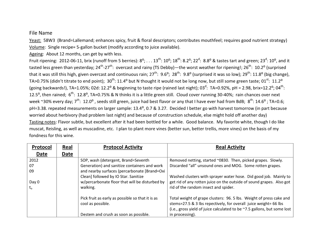 File Name Protocol Date Real Date Protocol Activity Real Activity