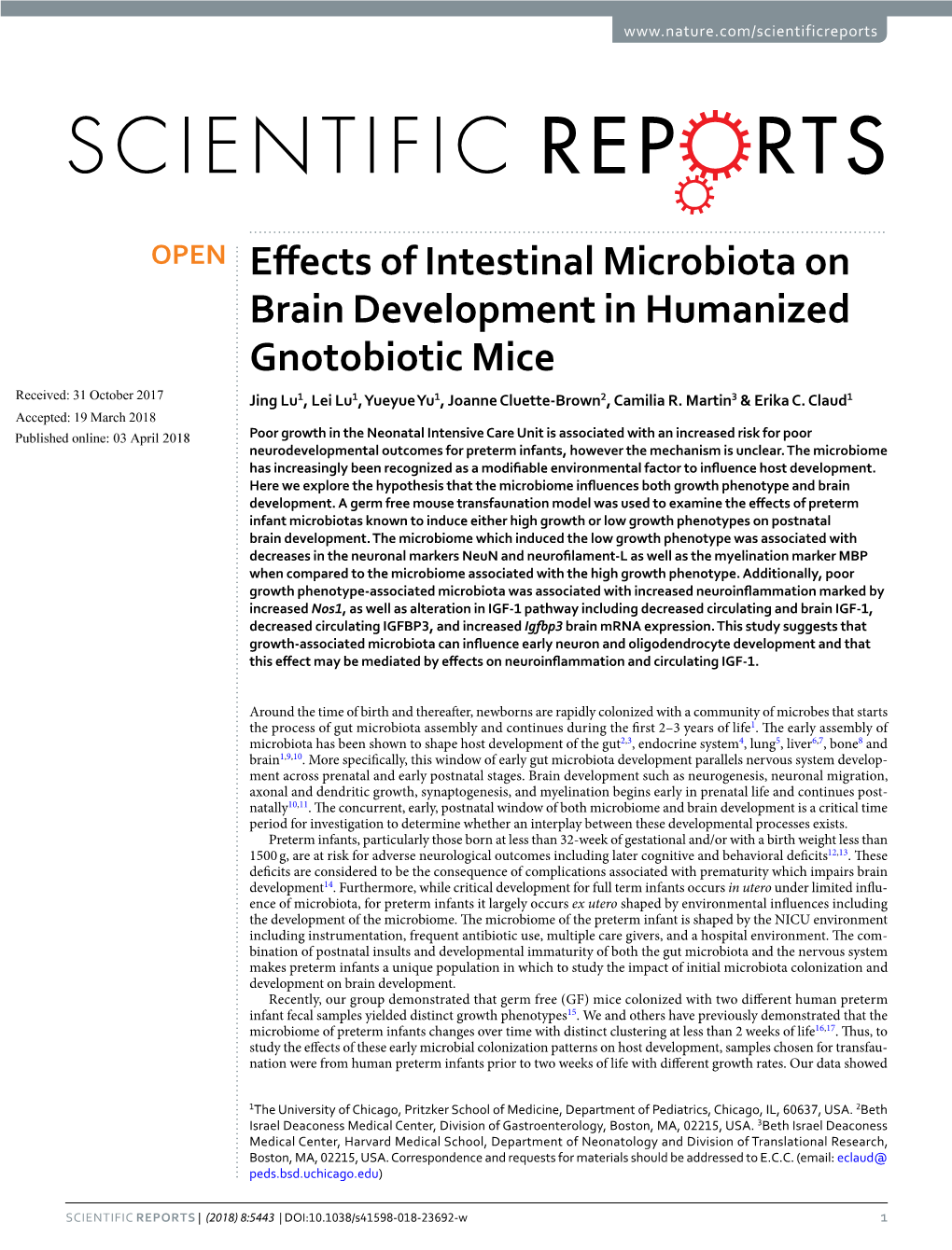 Effects of Intestinal Microbiota on Brain Development in Humanized