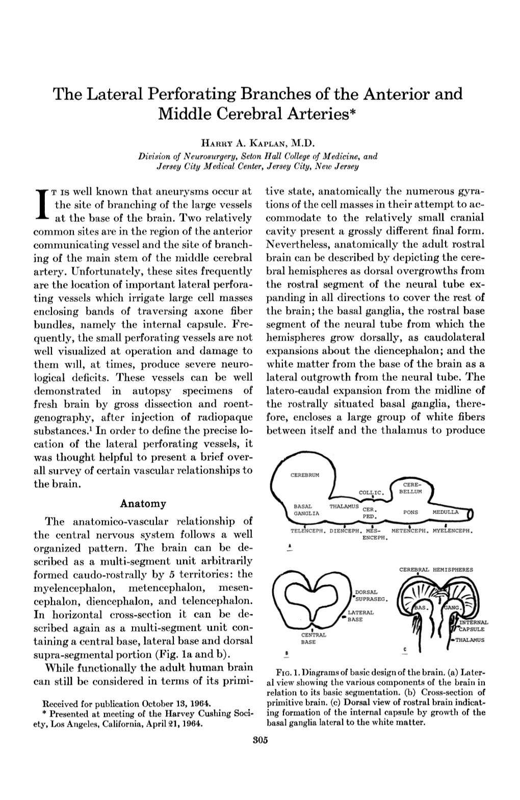 The Lateral Perforating Branches of the Anterior and Middle Cerebral Arteries*