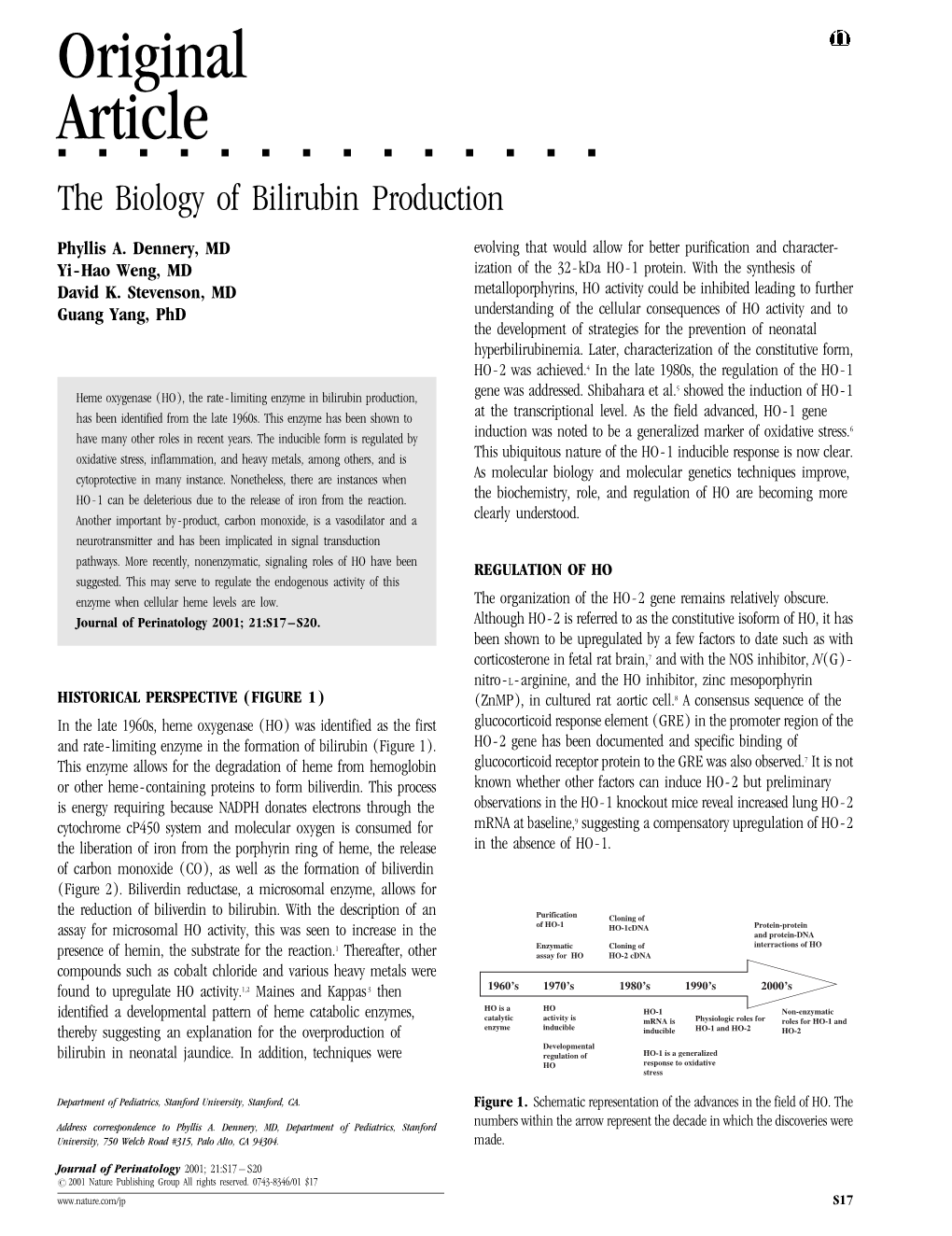 The Biology of Bilirubin Production
