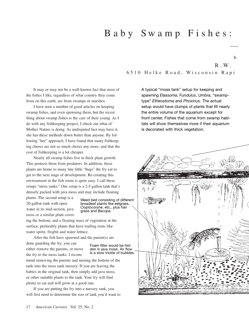 Raising-Baby-Swamp-Fishes.Pdf