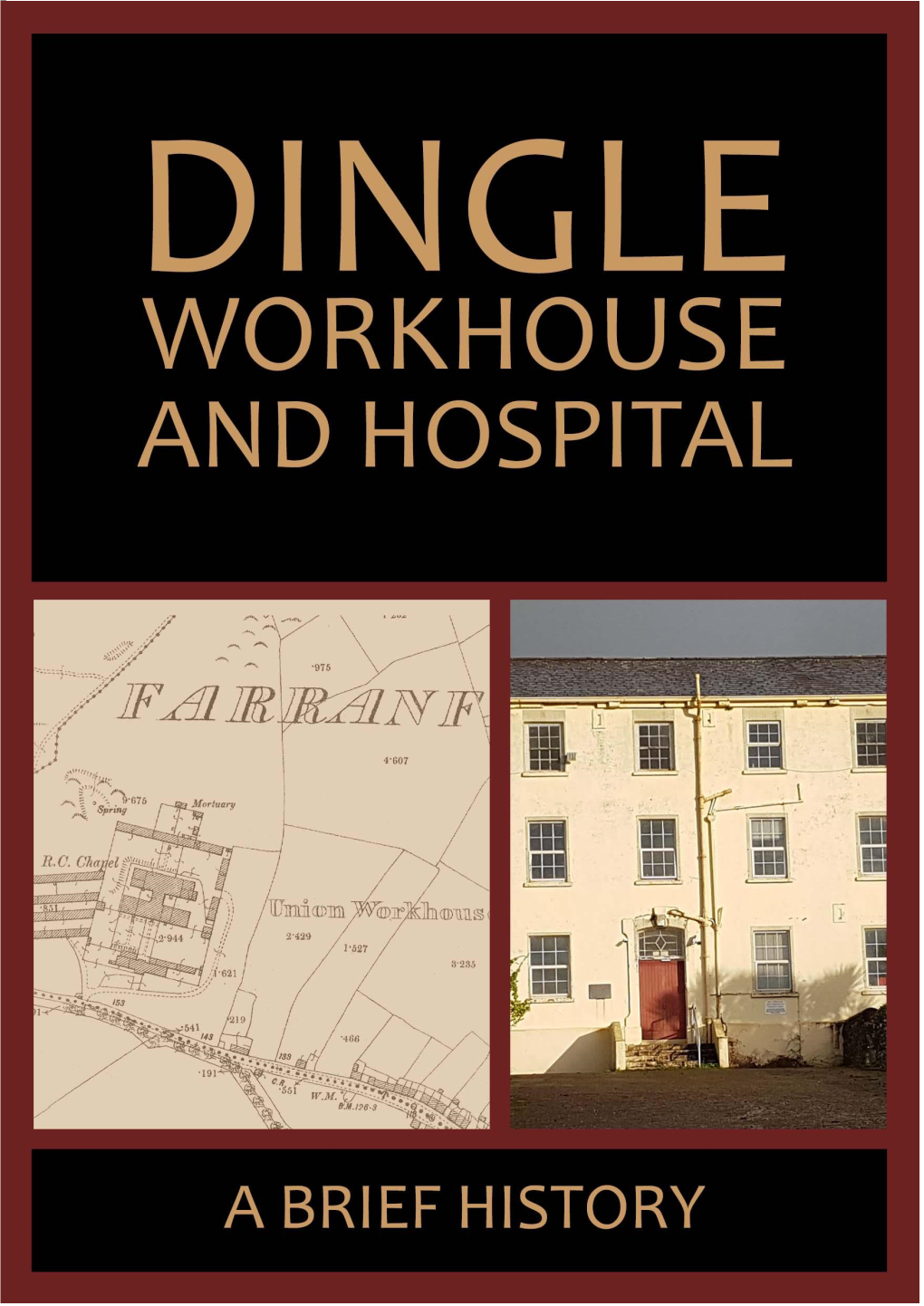 A Brief History of Dingle Hospital and Workhouse