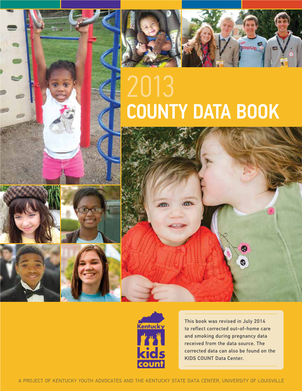County Data Book