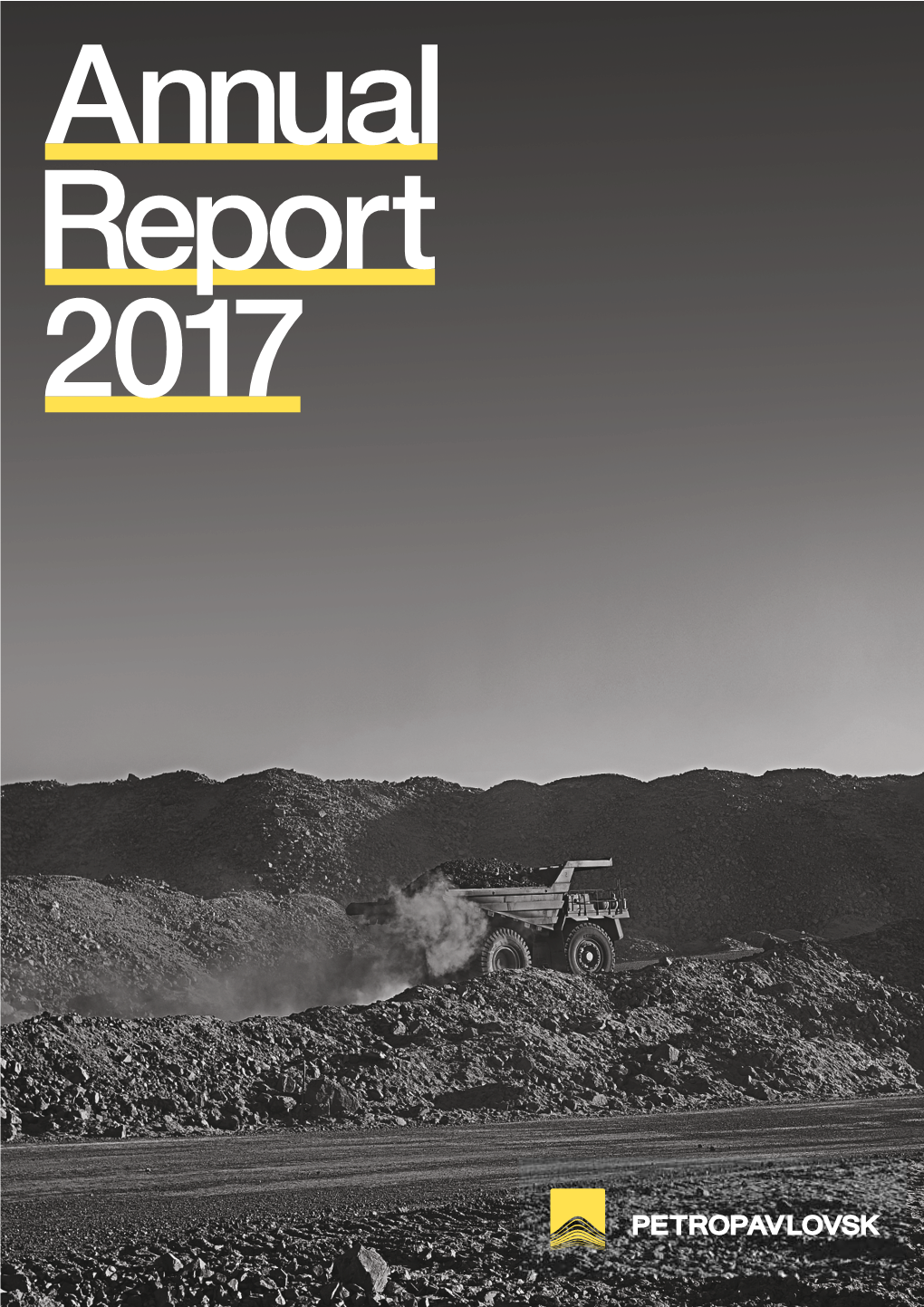 Annual 2017 Report