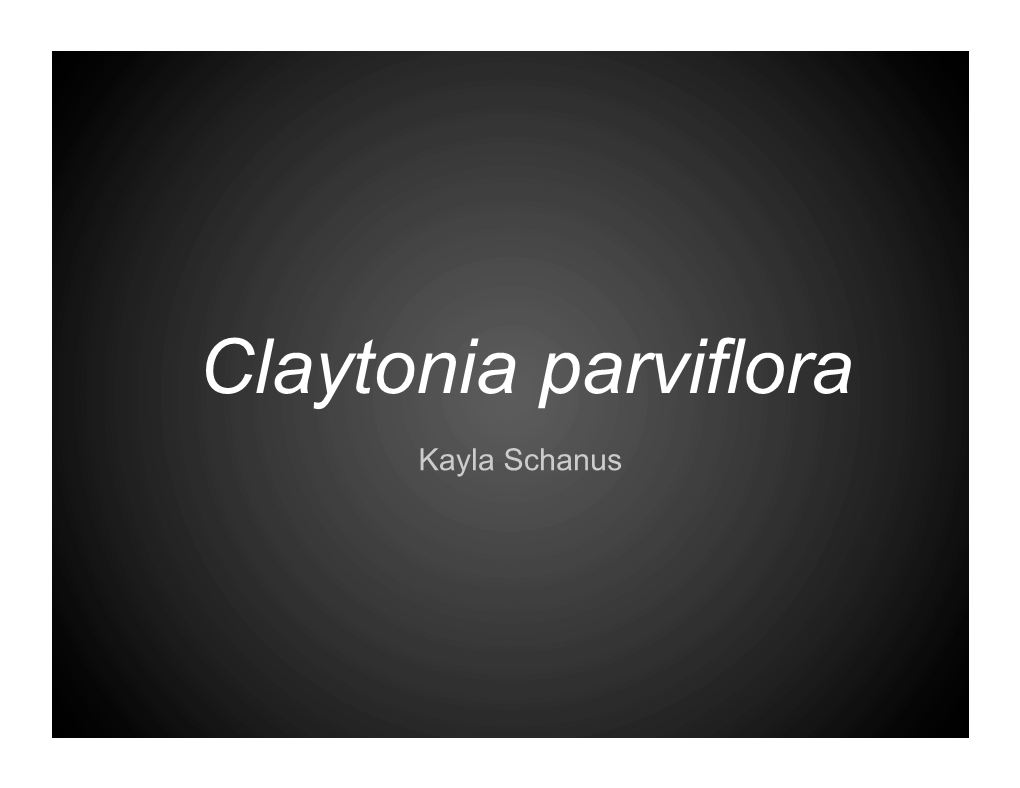 Claytonia Parviflora