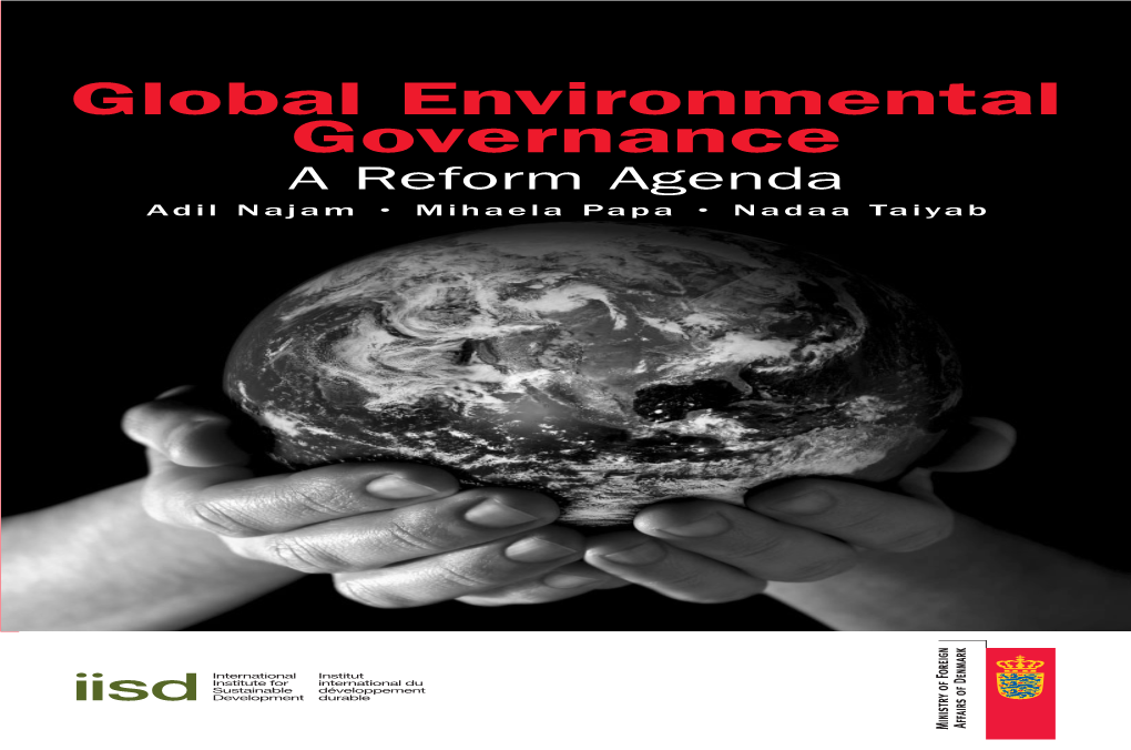 Global Environmental Governance